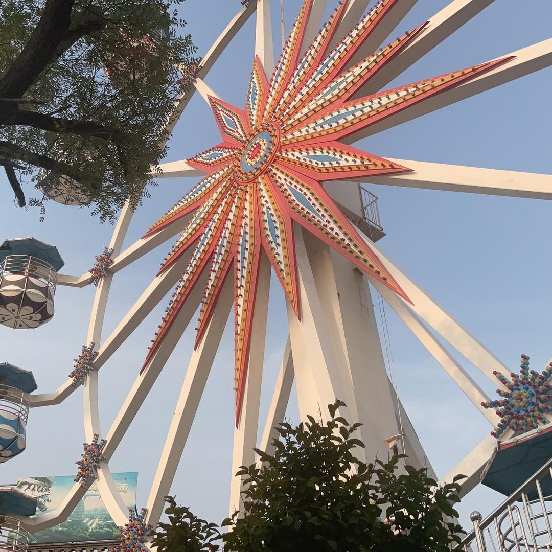 @陆阳（lolm冲分版）