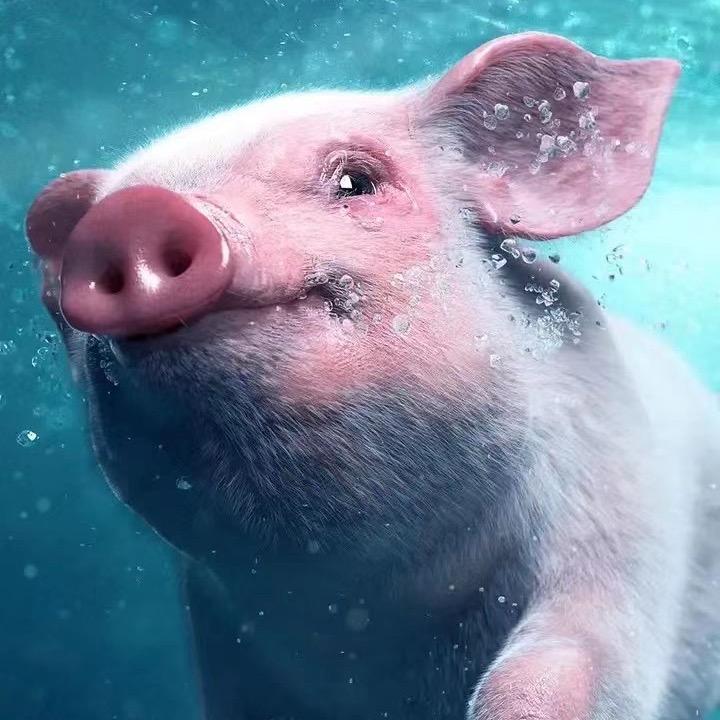 喜欢潜水的老头子👴