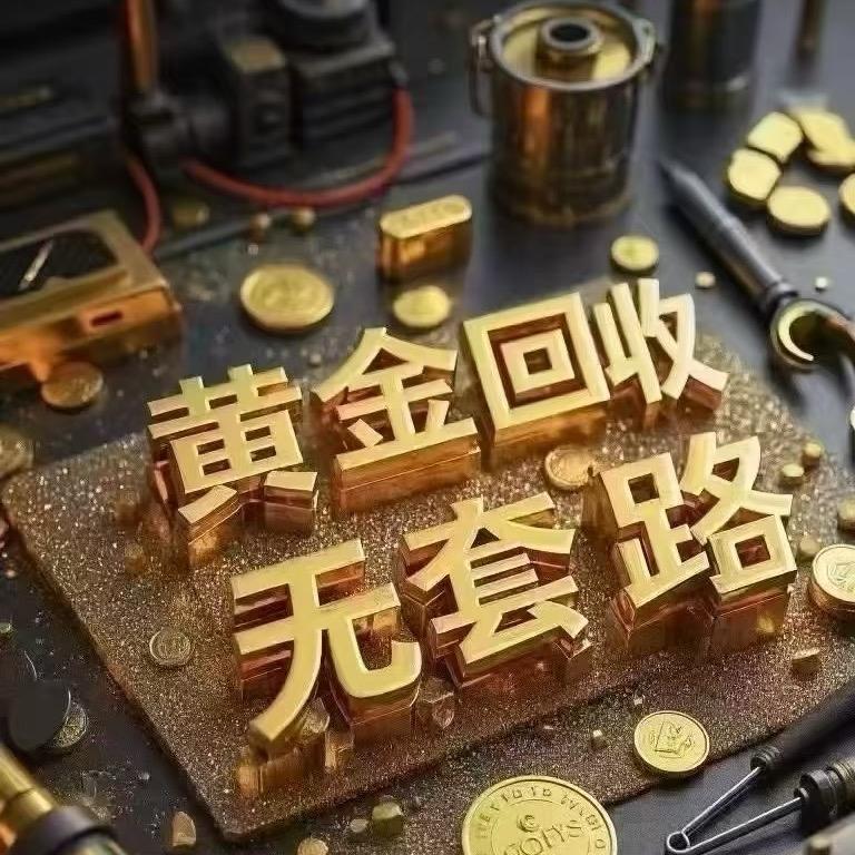 主播小弟专业小黄鱼