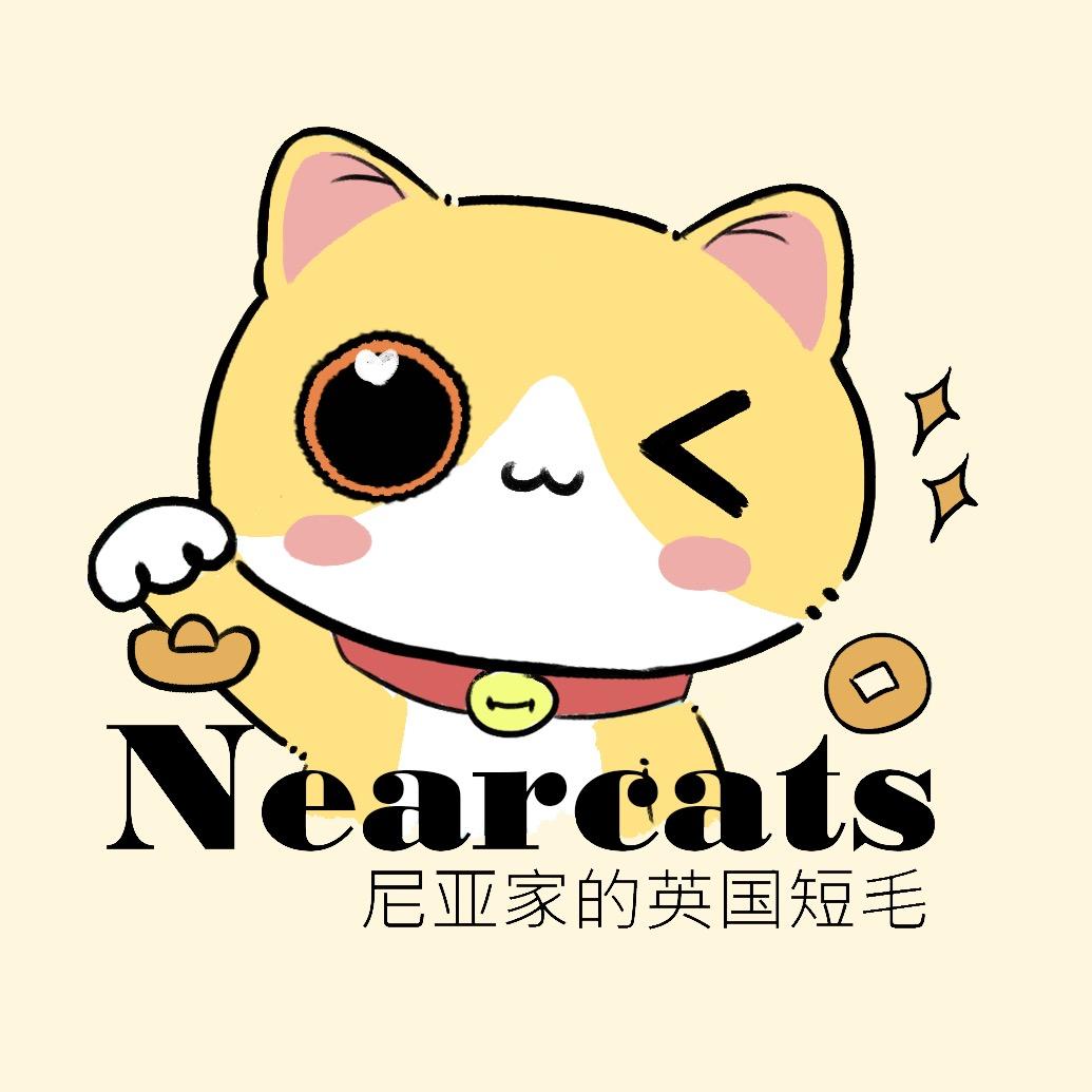 尼亚家的宠物沟通师
