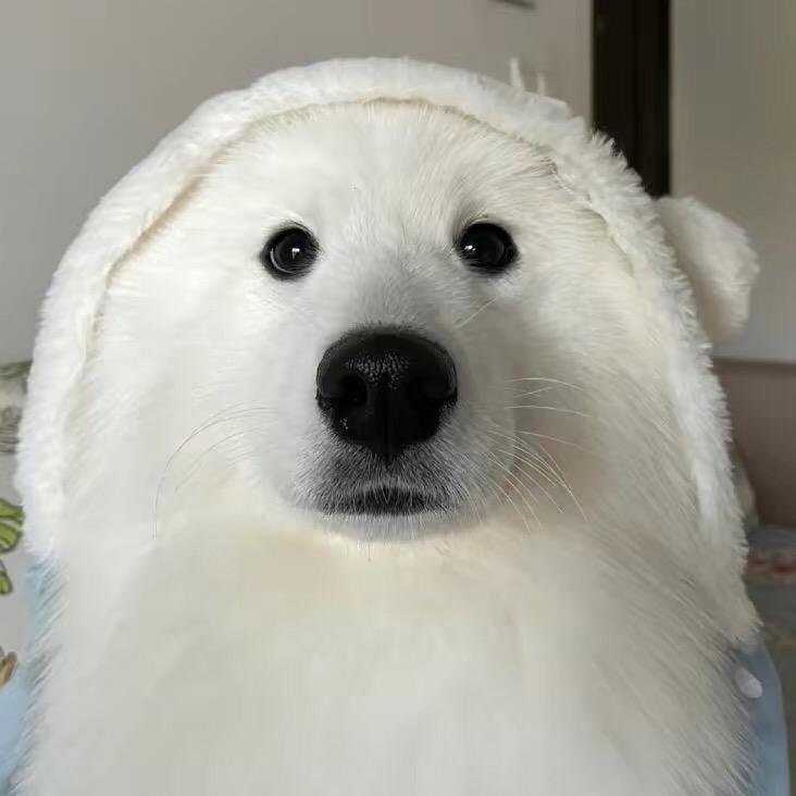 什么名字都被认证我用什么