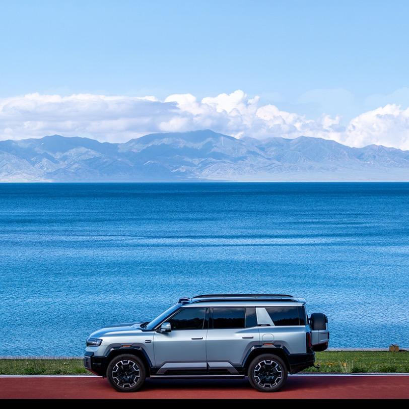 方程豹的小闪电