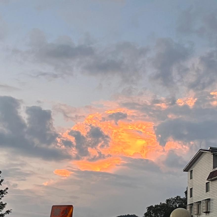 小罗吖