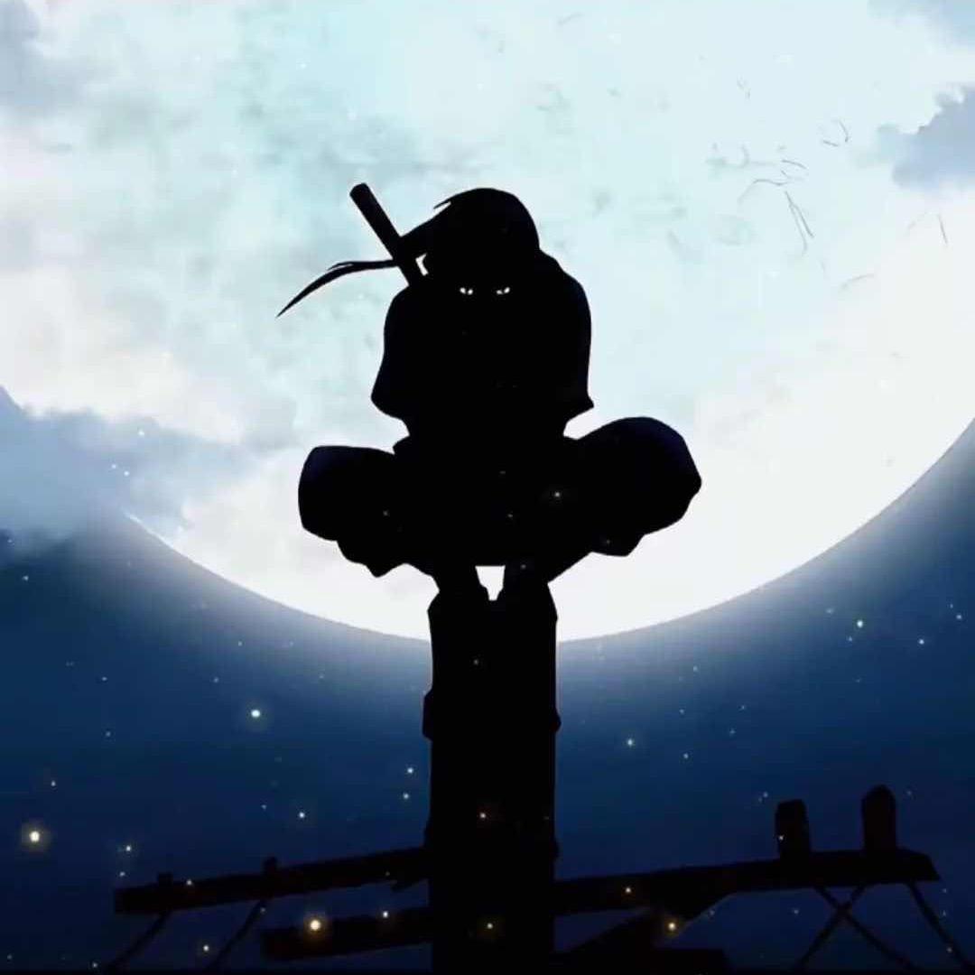 💥游不动灬🔥