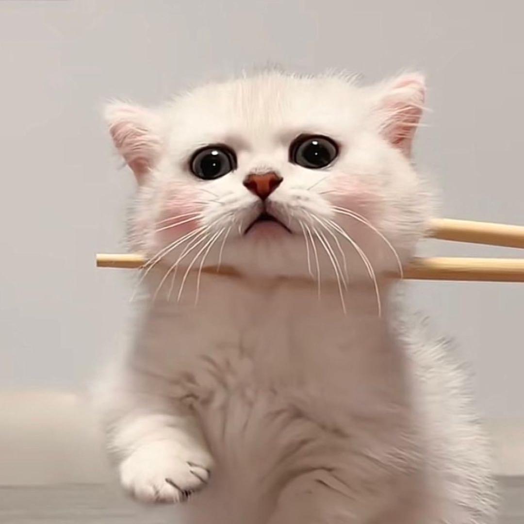 小心呀