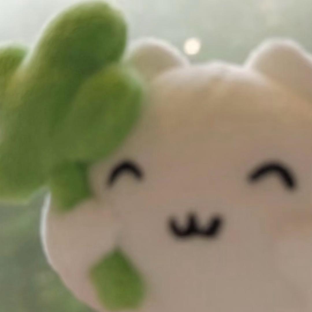 煎蛋本蛋
