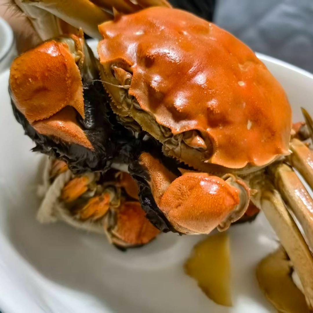 @卖螃蟹的小姐姐