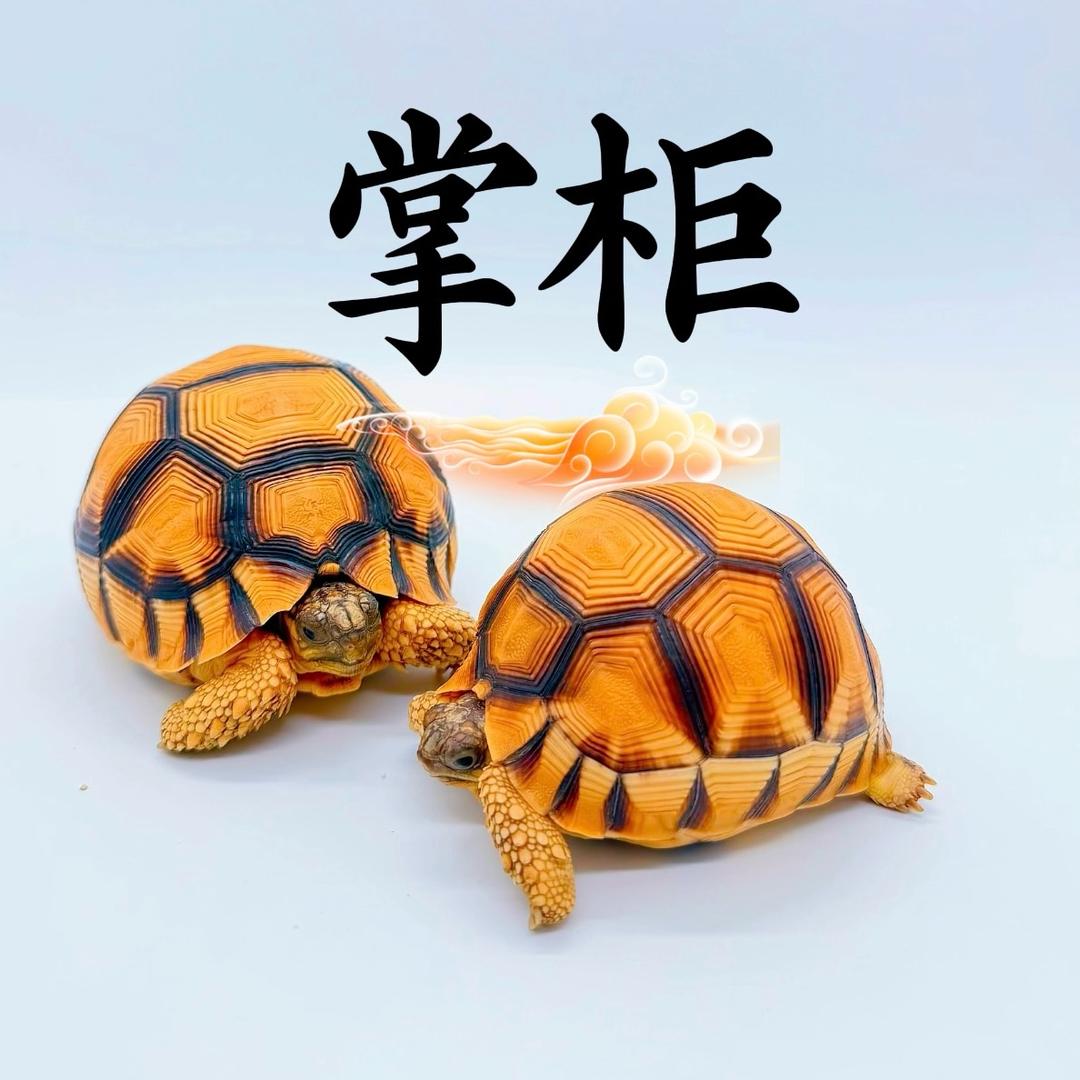 佳良农业-掌柜