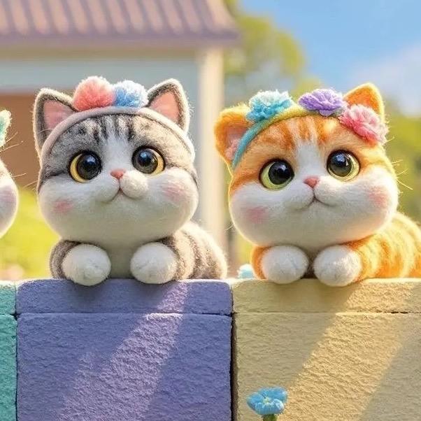 打工猫咪