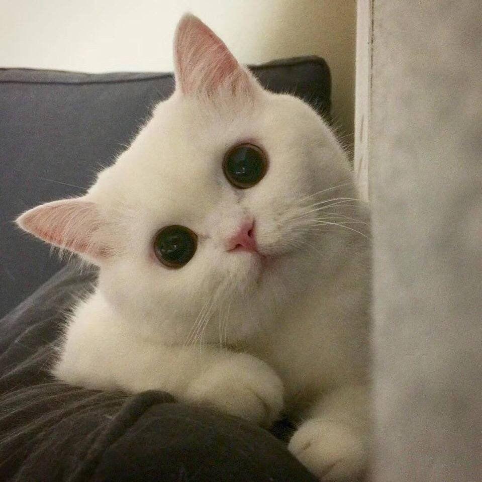 失眠😴