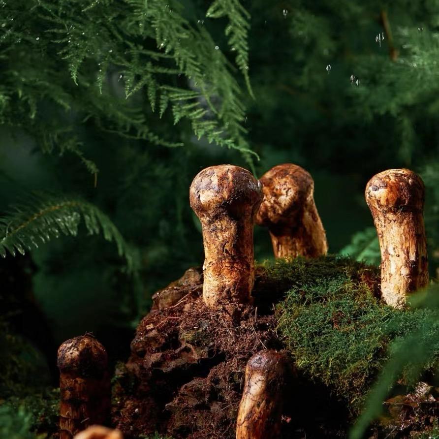 柒小盘（百盛云中店）