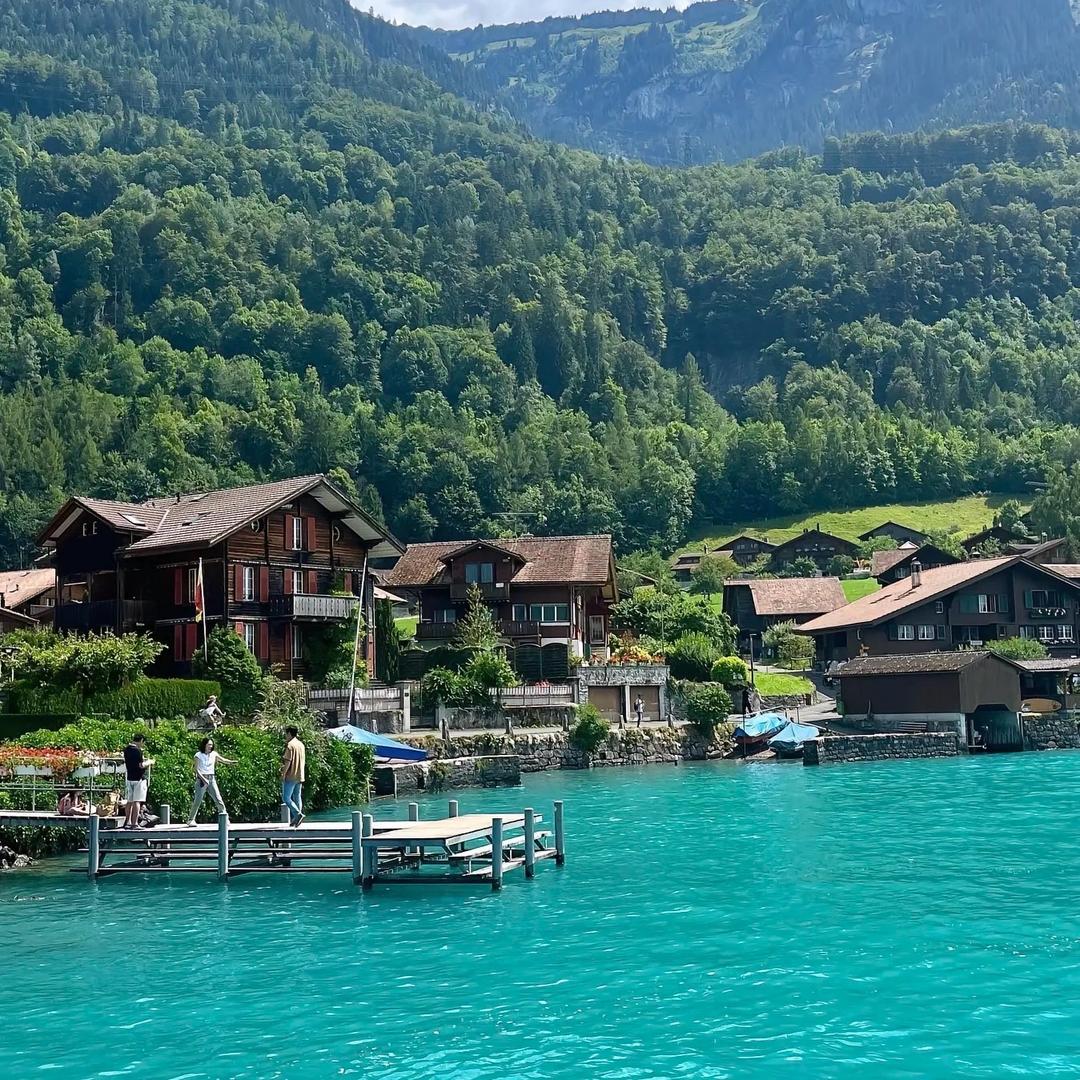 魑魅魍魉在找寻