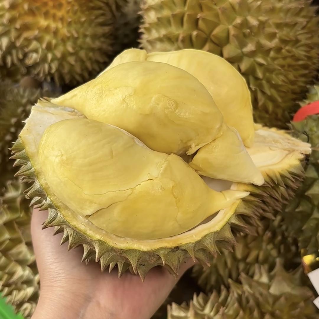 光头哥哥榴莲甄选