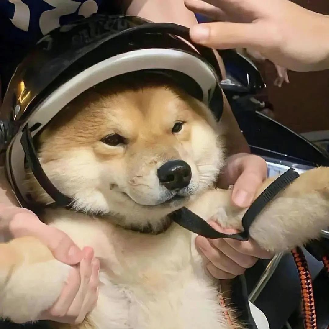 马马马马
