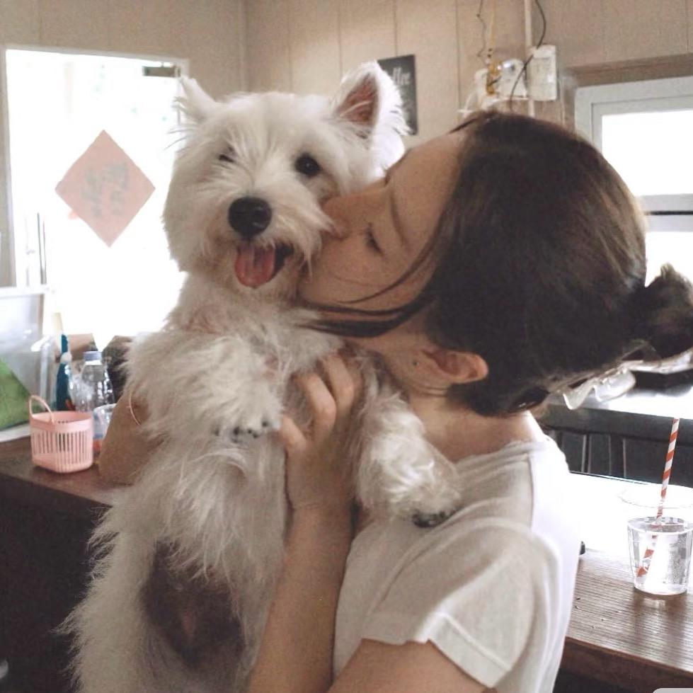 下次见。