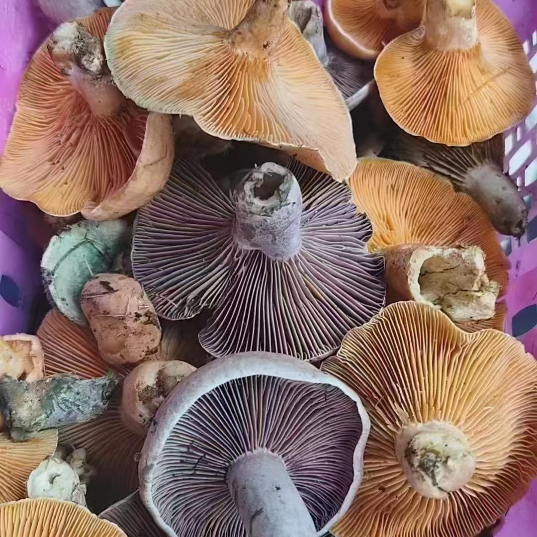 离开是最好的选择