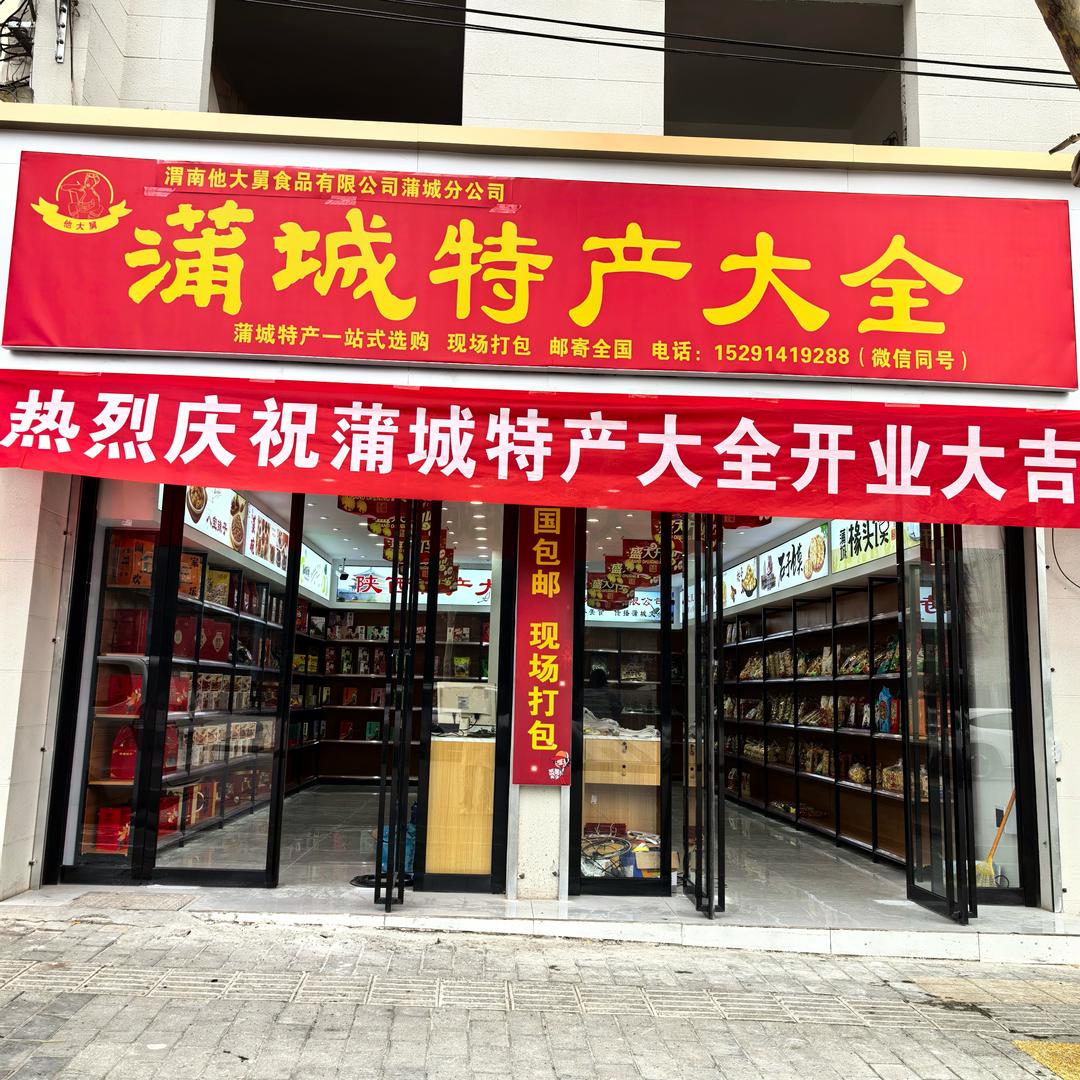 他大舅蒲城特产大全