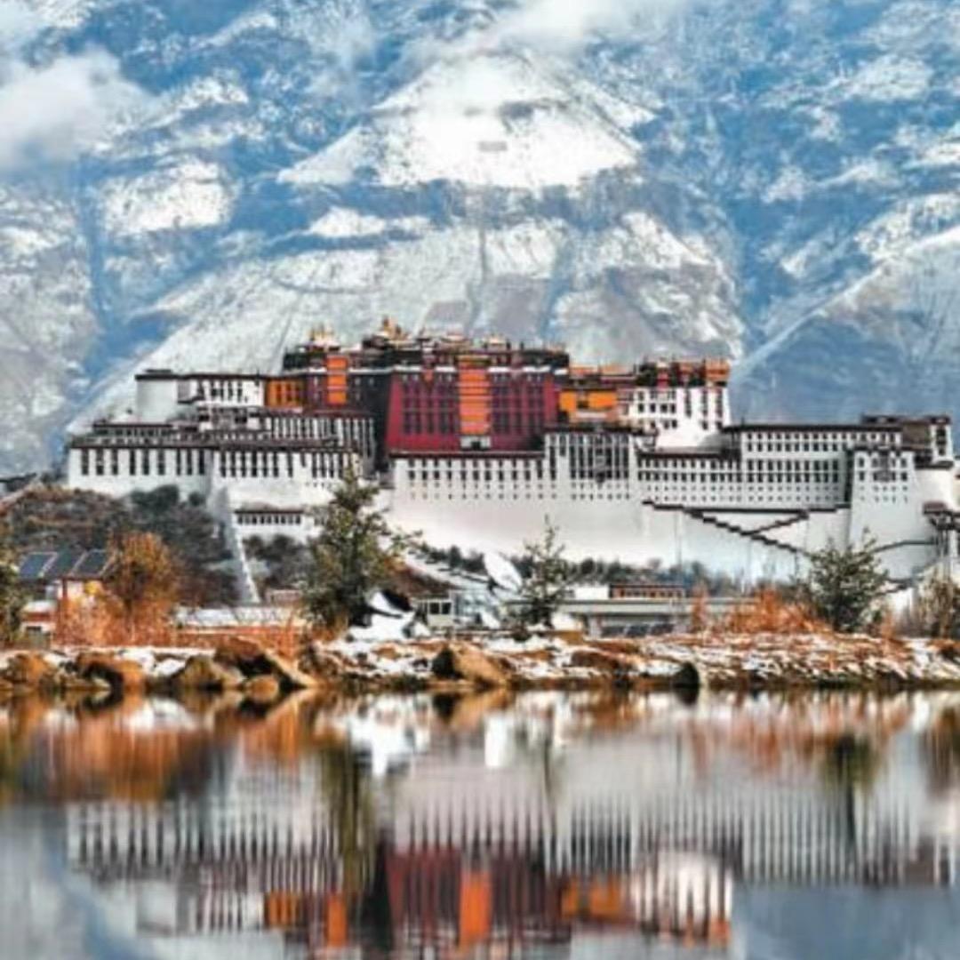 双流四哥房介服务部