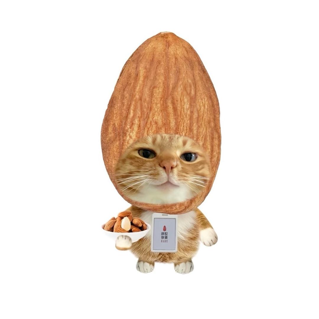 蜡笔小葵
