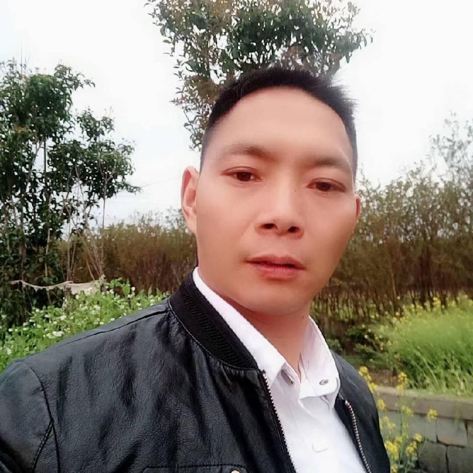 杨老四