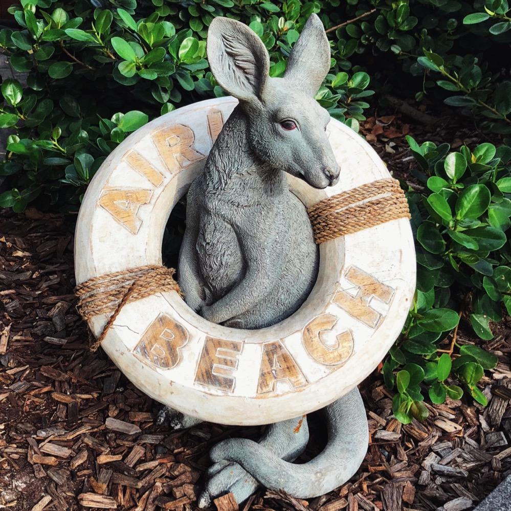 澳洲吃不上小龙虾🦞