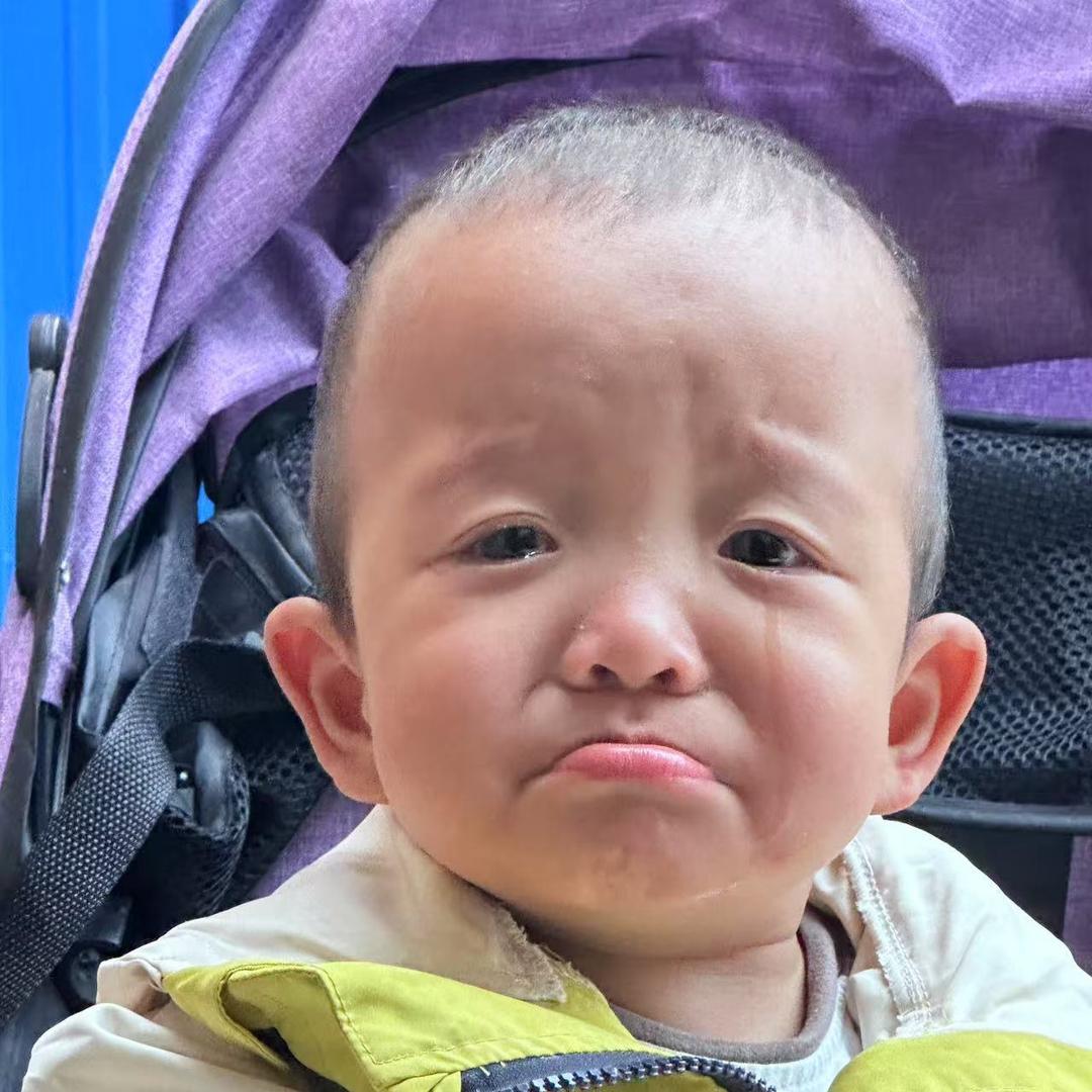 小晟晟晟晟晟