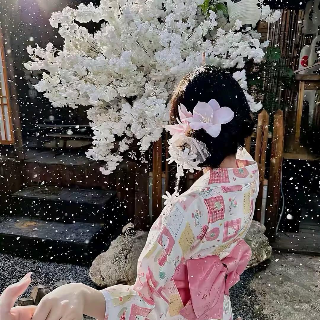兰宝儿