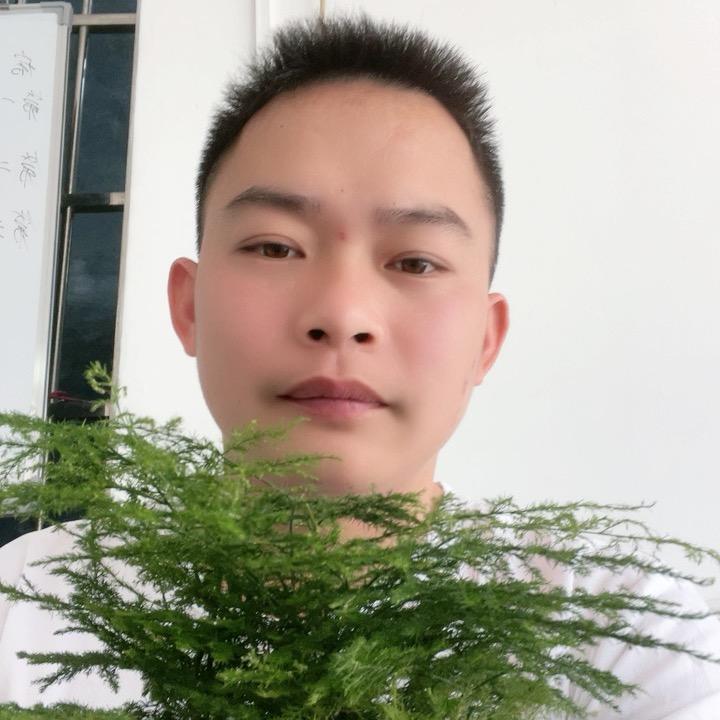 英德农业+种植