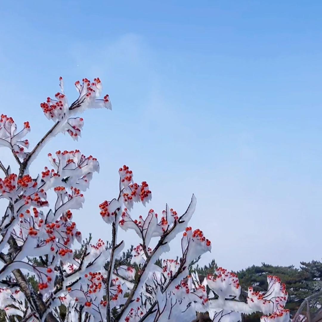 无法显示