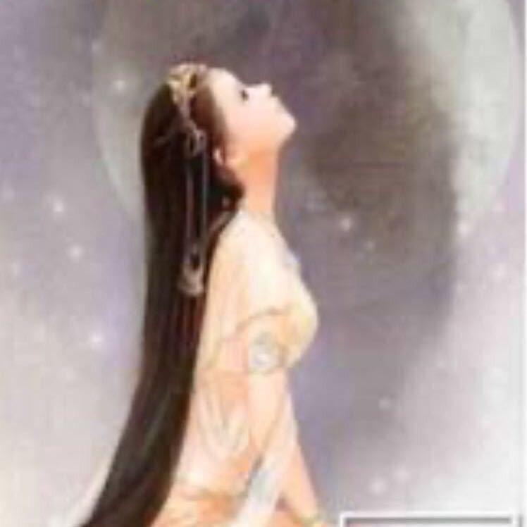 洛天依🌙