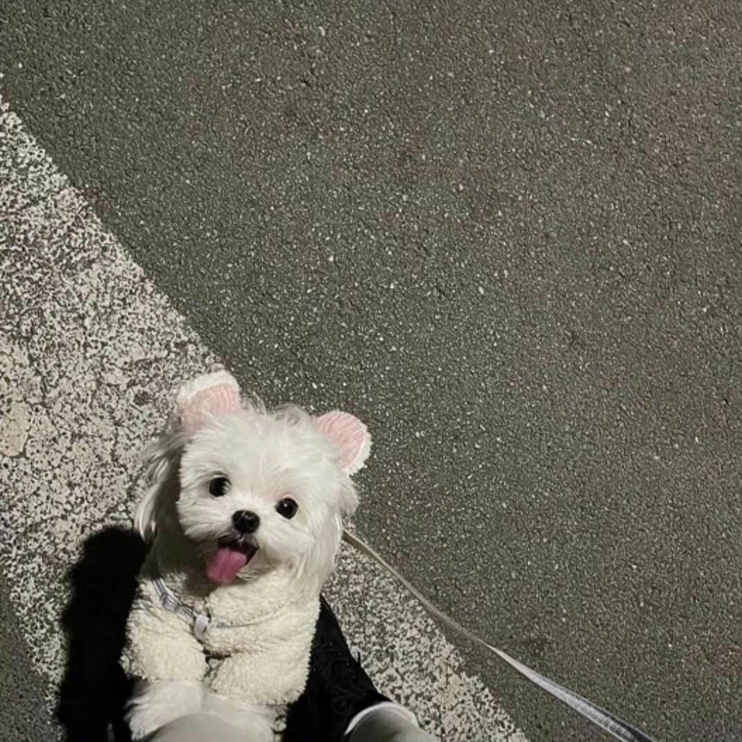 阿美呀🎤@抖音