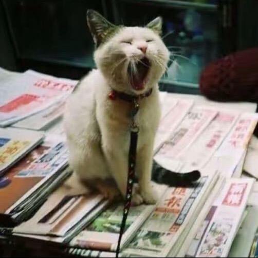 礼清