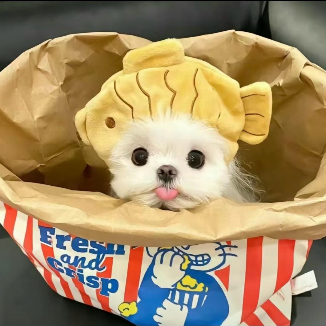只是想