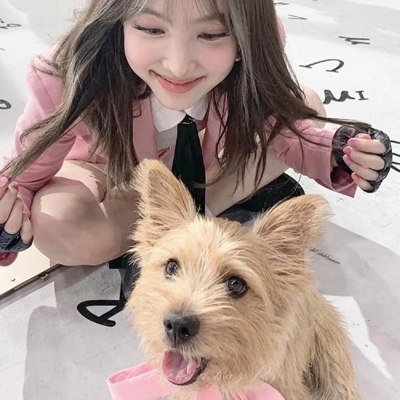 𝙝𝙖𝙡𝙘𝙮𝙤𝙣 🏹