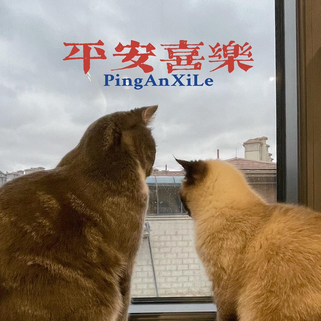 天天有猫吸🐱