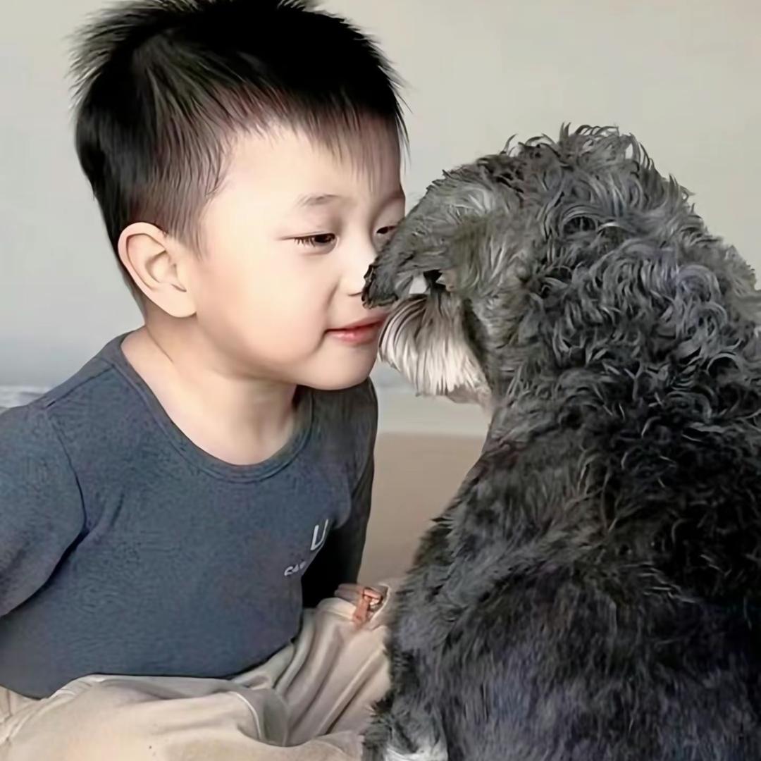 蜡笔小爹^_^