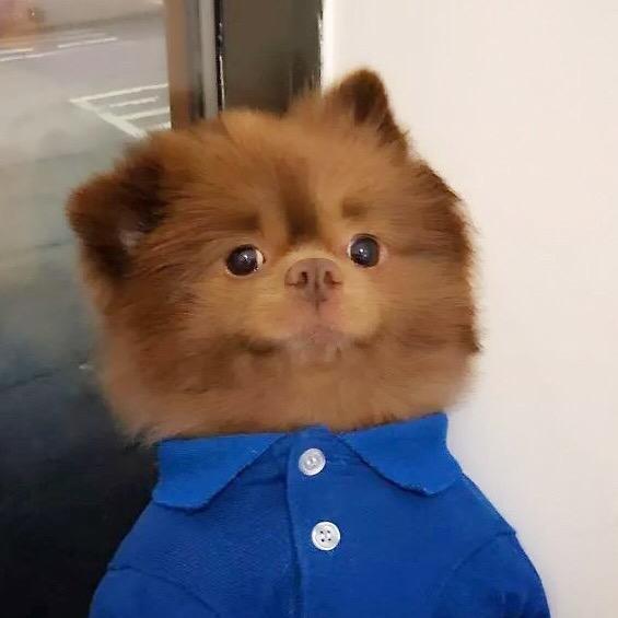 🌈🙉丢_丢🙊