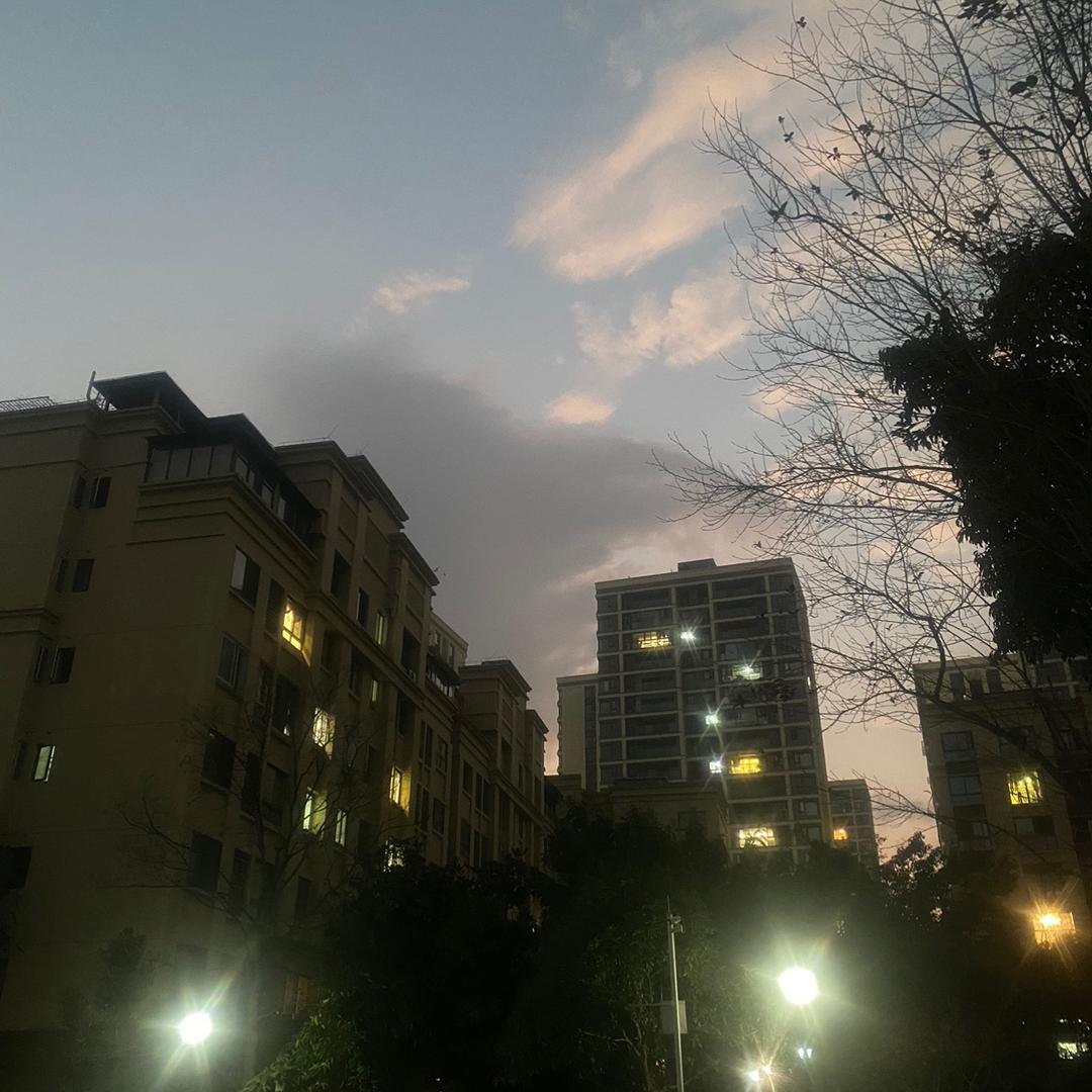 雪子的花