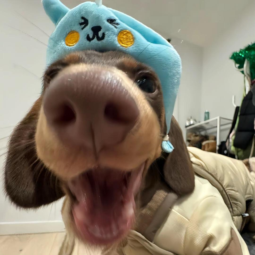 huha
