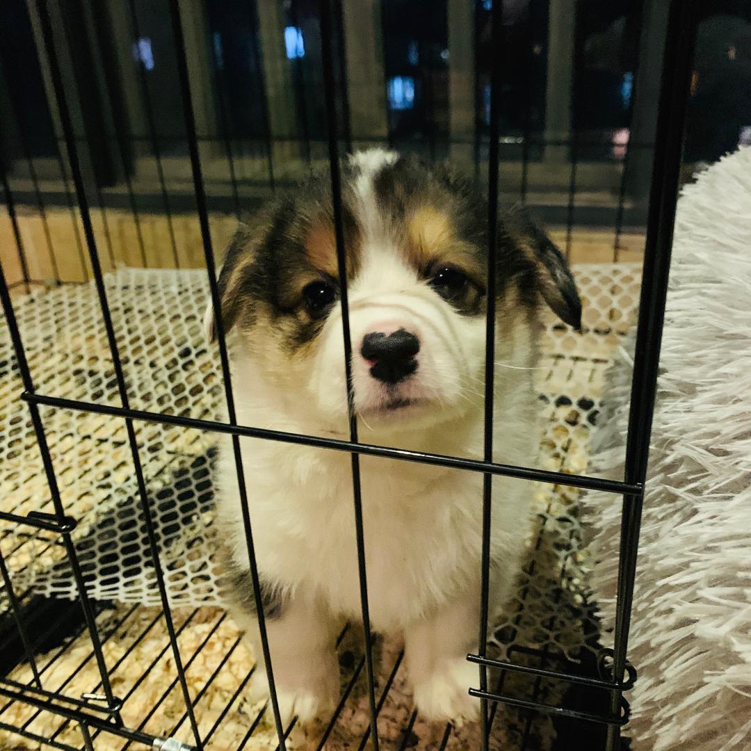 李可乐呀