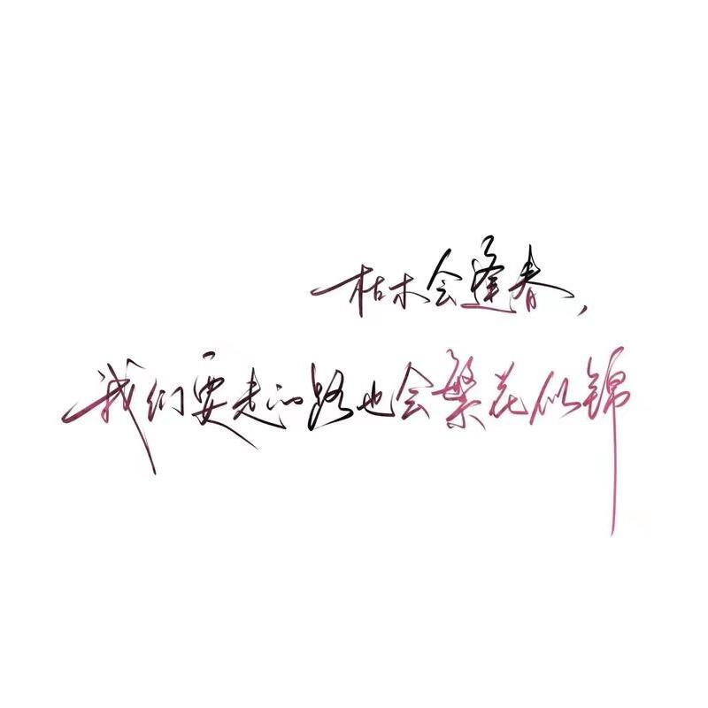 霸道数学爱上我