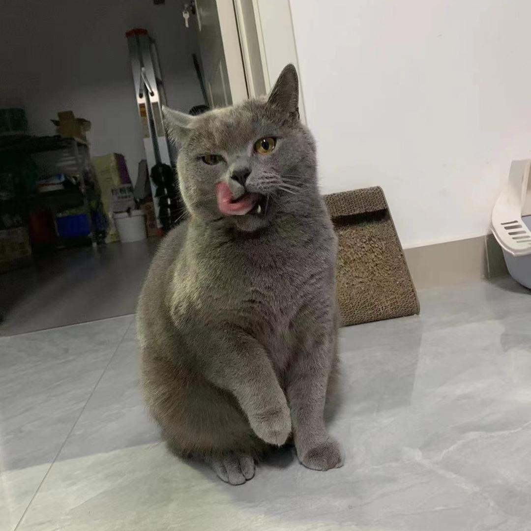^_^洪小哥 ^_^