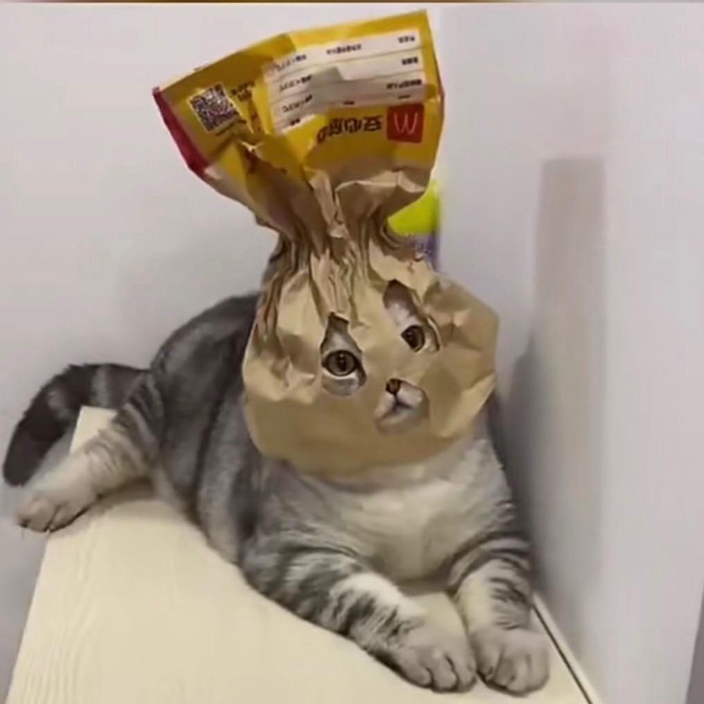 榴莲炖臭豆腐