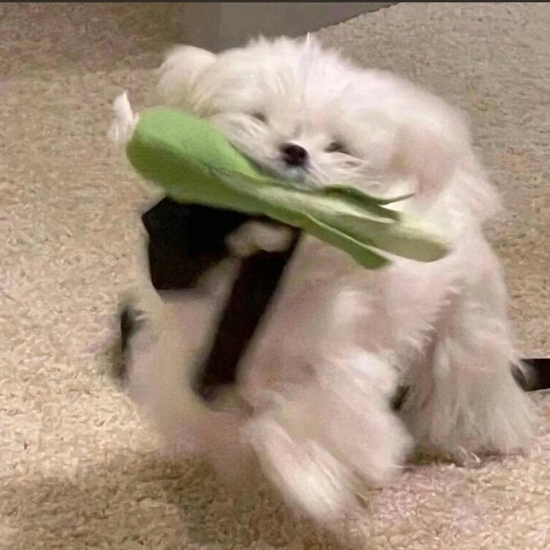 不恰辣