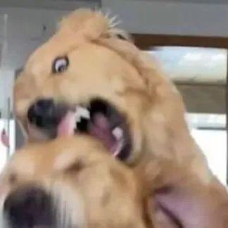 我提着420米长的大刀削苹果