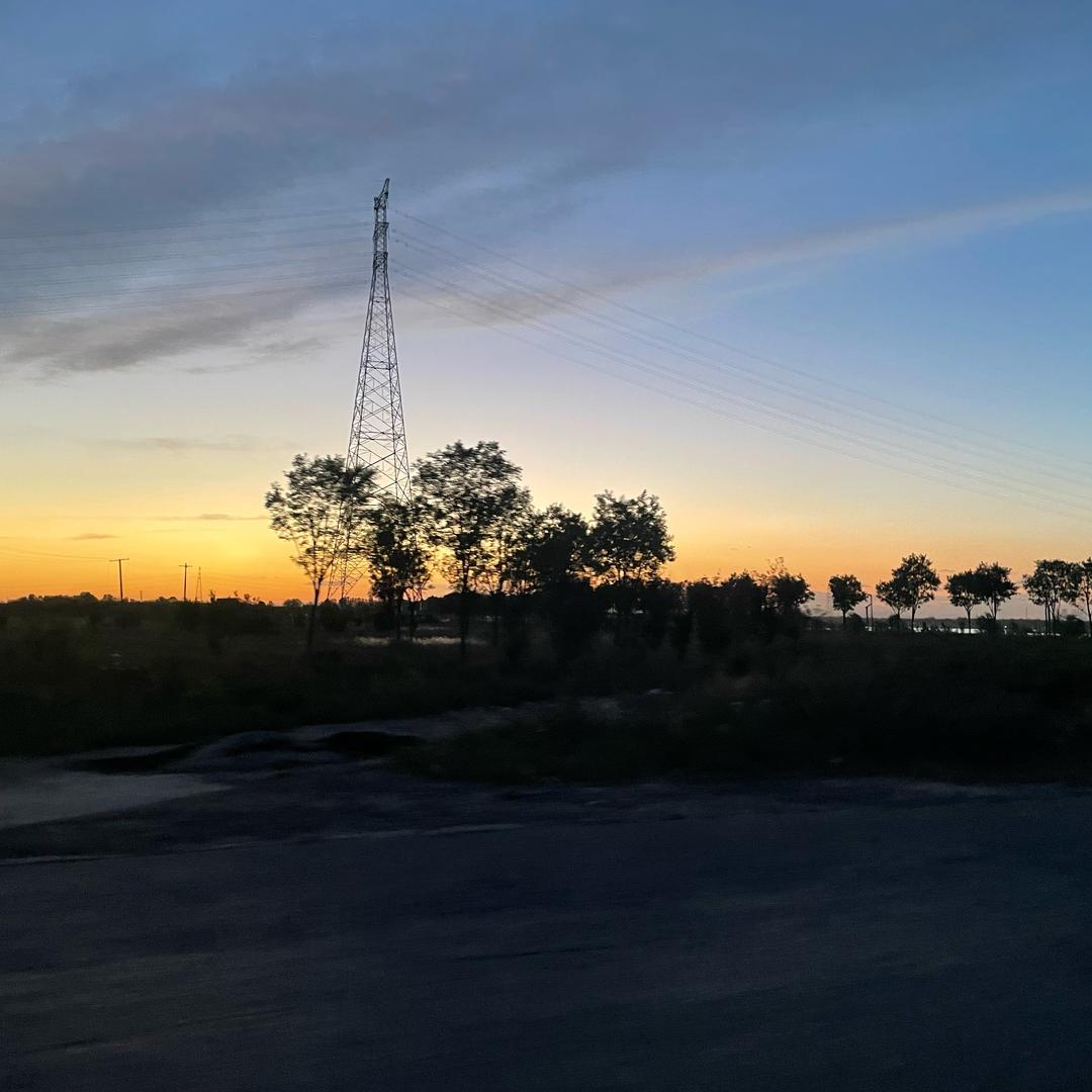 丰鸵鸵鸟养殖厂贺