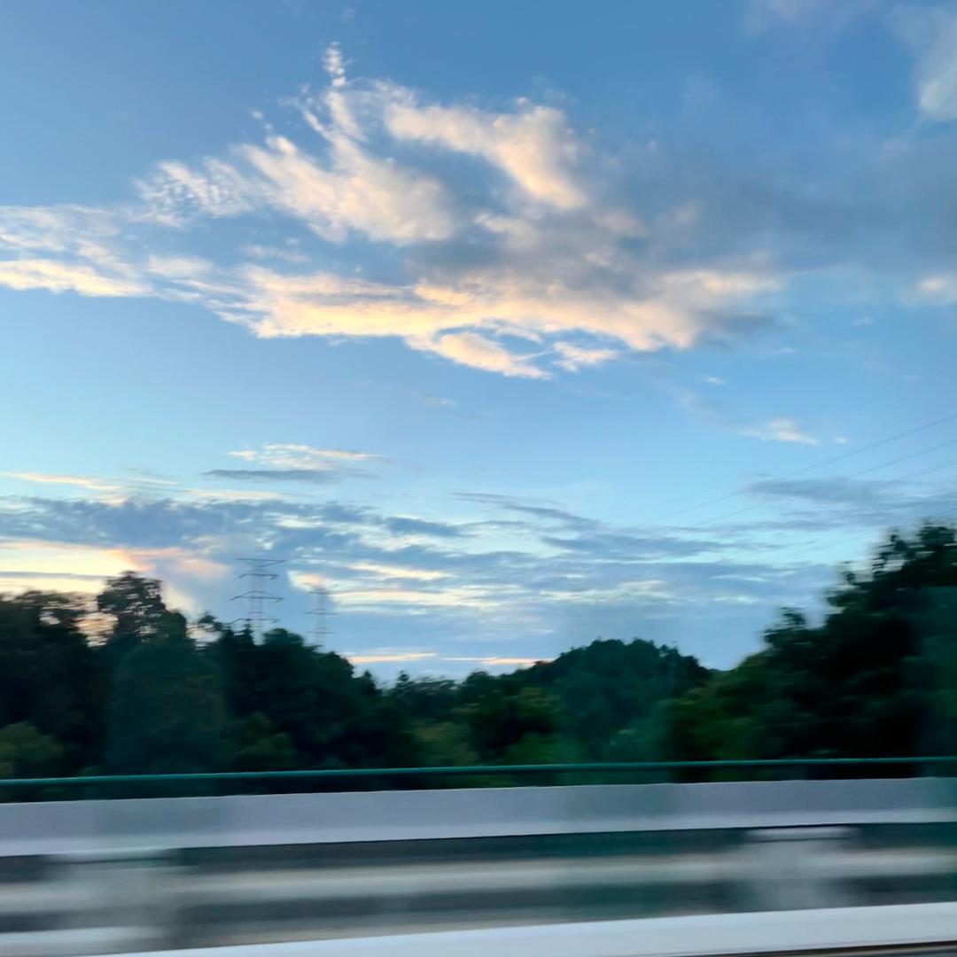 欲辞青山