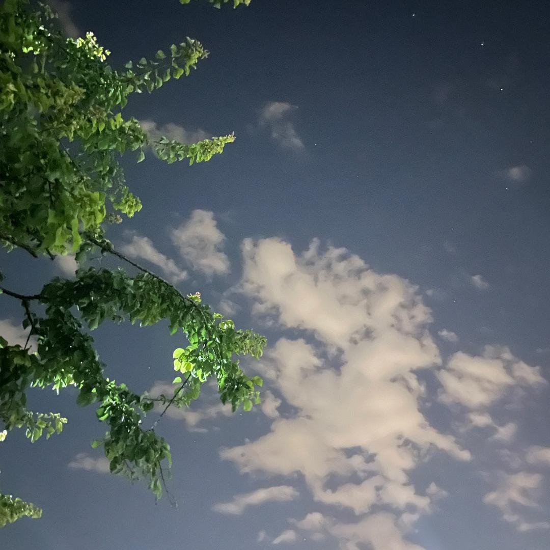 风起