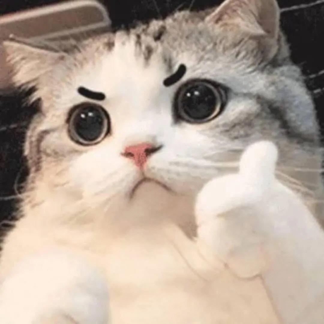 ᠰᡳᠶᠠᠩ ᡤᡳ ᠰᡳ 🕹️