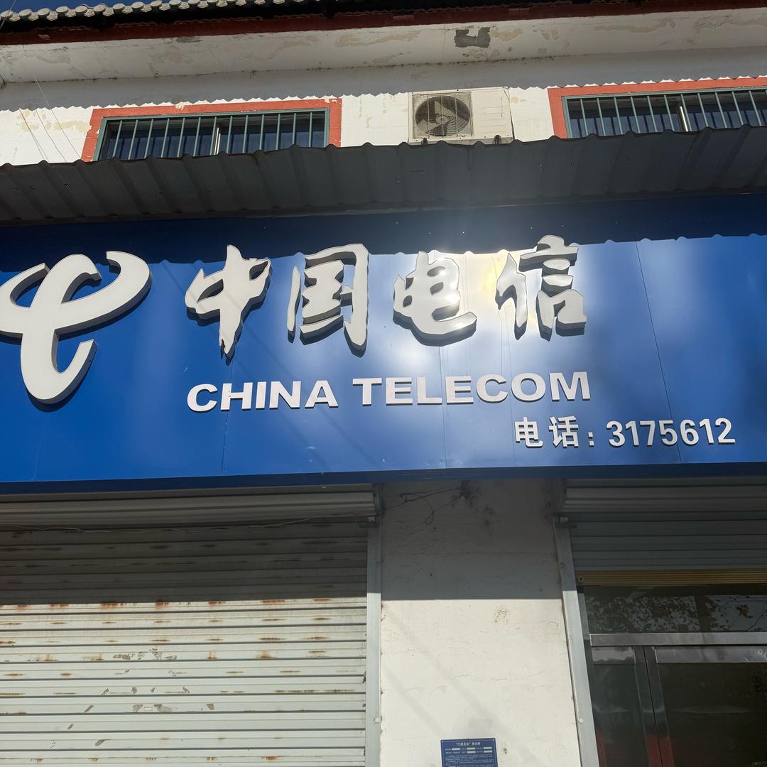 金乡电信大手子